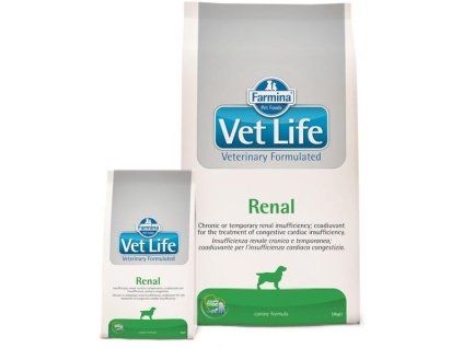 Farmina Vet Life dog Renal 12 kg